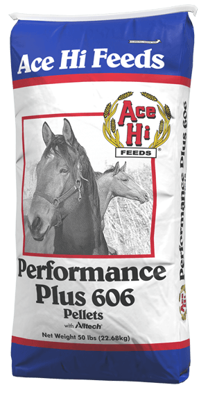 Plus 606 Performance Horse Food from Star Milling